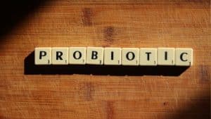 Are Probiotics the Missing Link in Your Fat Loss Diet?