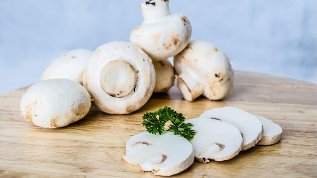 Mycelium: Nature’s Network for Health, Healing, and Sustainability