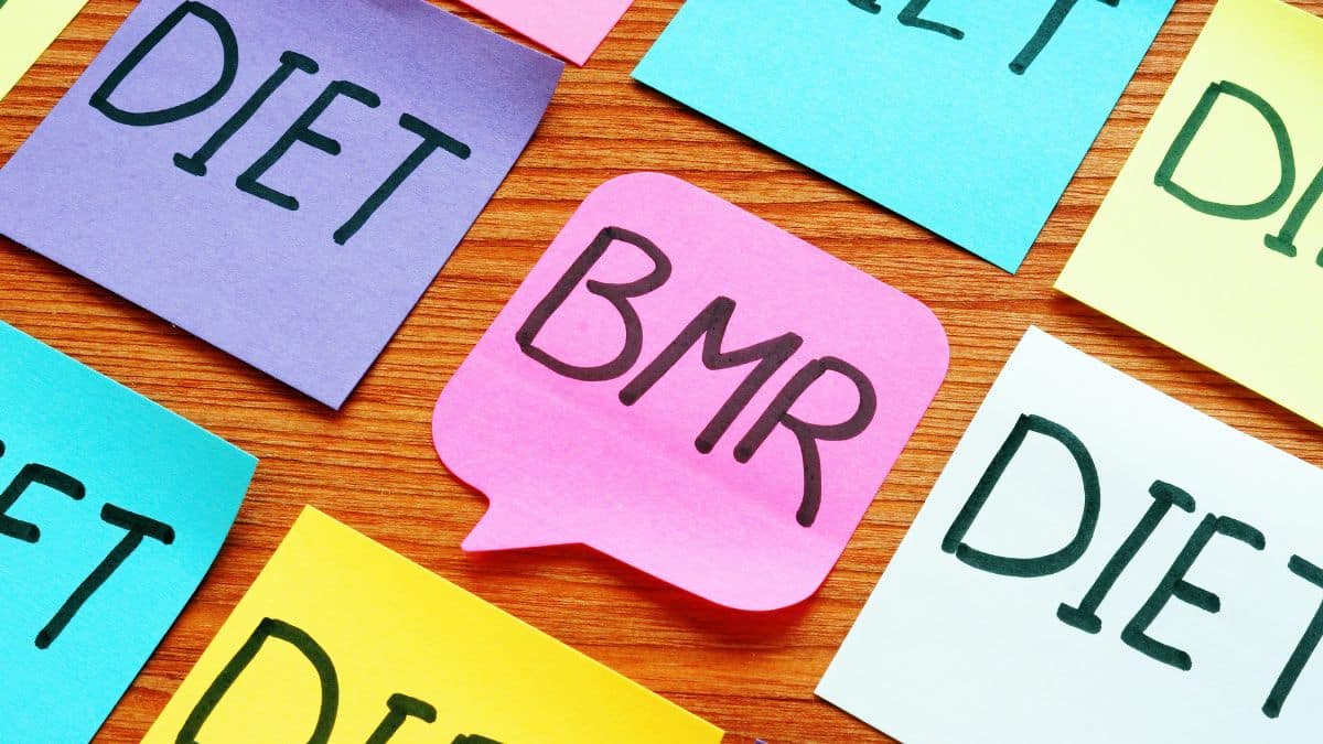 What Is Your BMR and How Does It Affect Your Fat Loss?