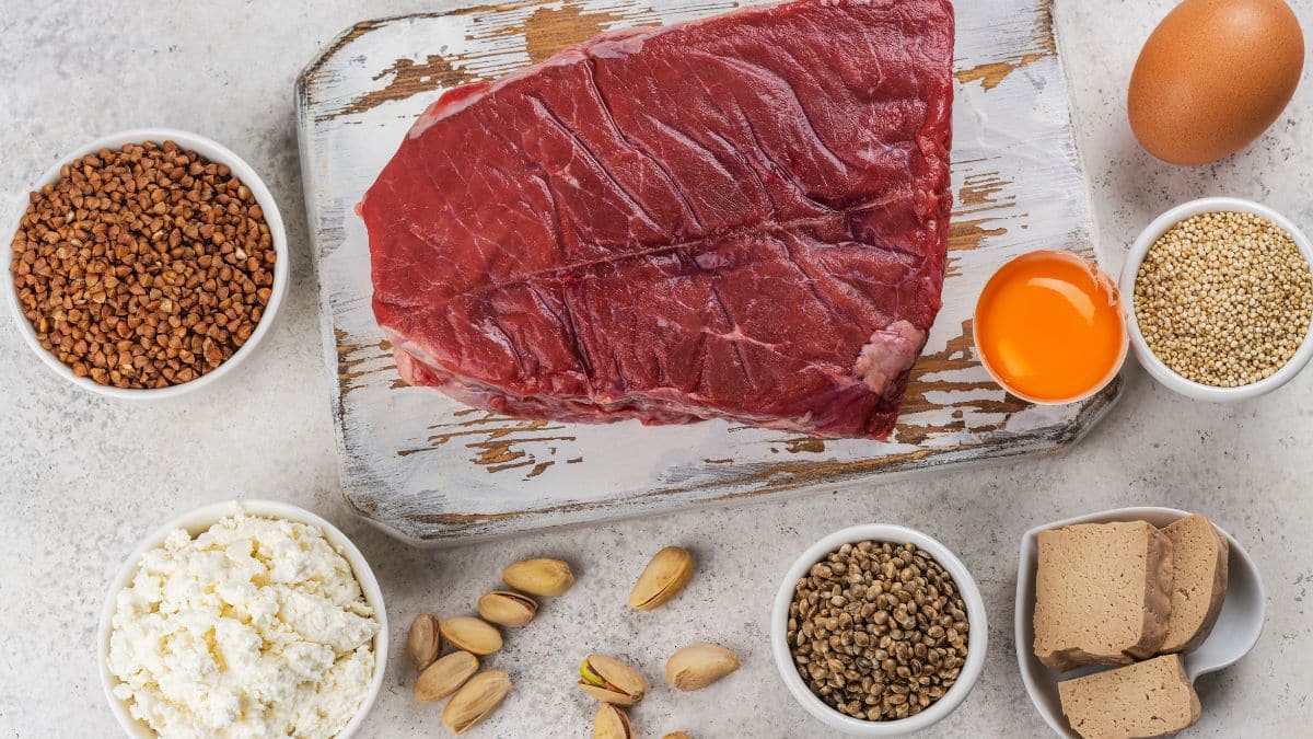 Best High Protein Foods for Fat Loss