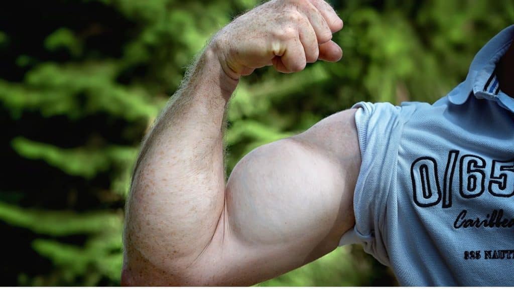 How to Combine Protein Intake and Resistance Training for Maximum Gains