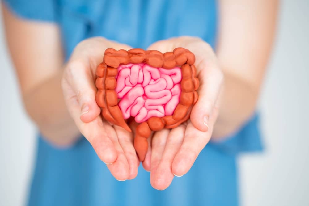 Digestive Support: The Gut-Health Connection to Fitness