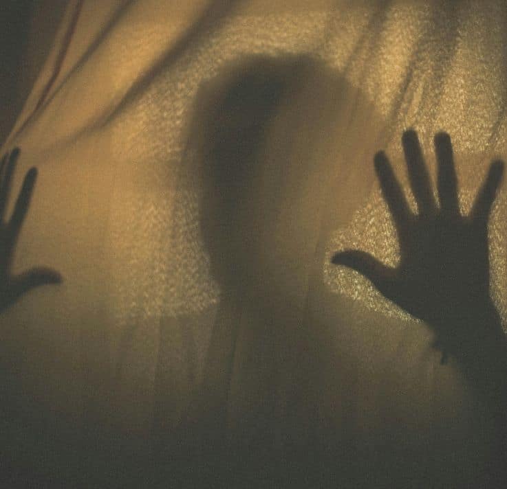 Greed and Fear: The Hidden Saboteurs of Life Success