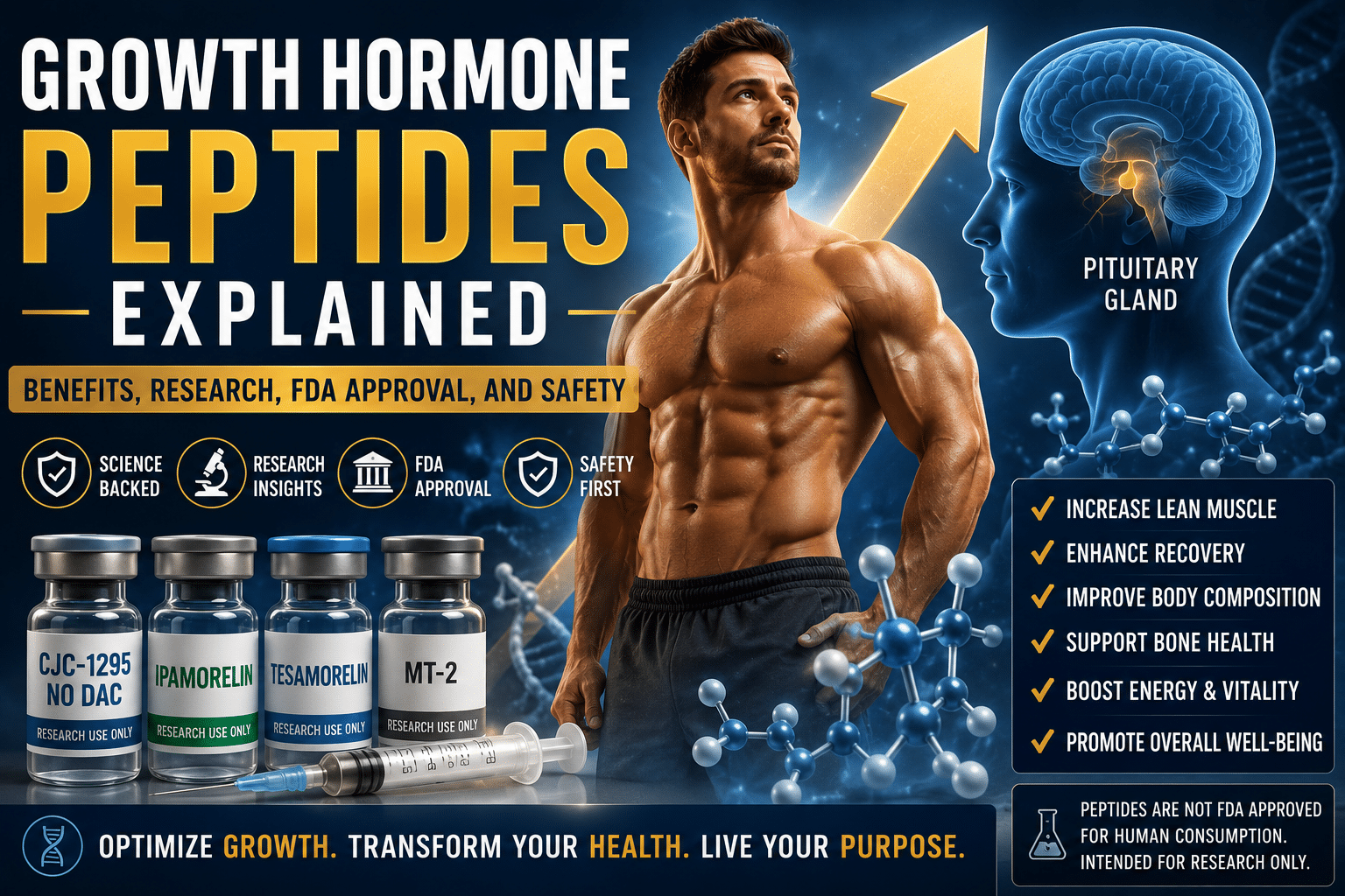 Growth hormone peptides illustration showing peptide molecules, pituitary gland, muscular athlete, and research vials representing growth hormone peptides, scientific research, FDA approval, and safety.